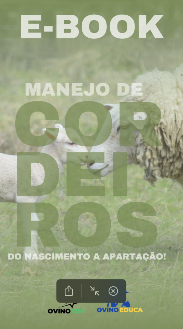 Ebook - Manejo de cordeiros do Nascimento a Apartação!