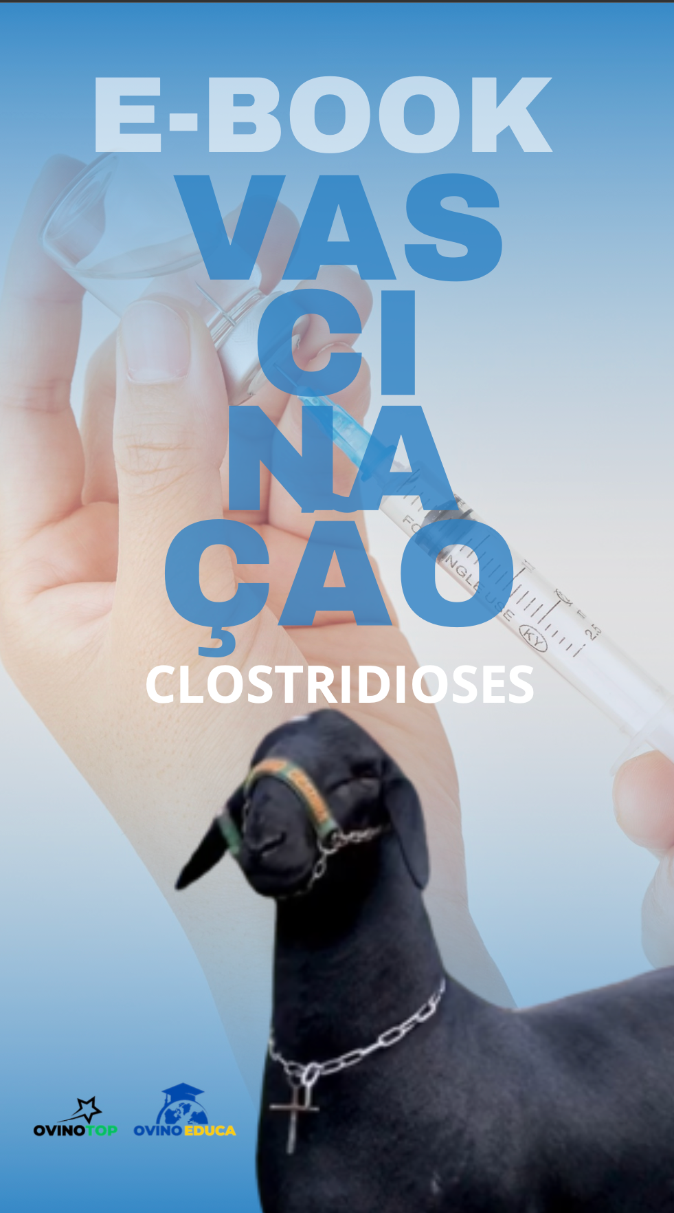 Ebook – Vascinação ( Clostridioses)