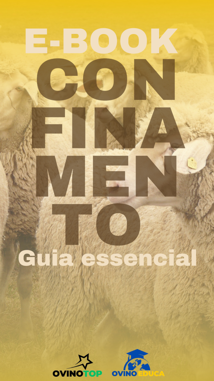 Ebook – Confinamento